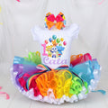 Word Party Tutu Set Girls Personalized Custom Rainbow Ribbon Sewn Trim Tutu Outfit Dress Theme Cake Smash Birthday Party