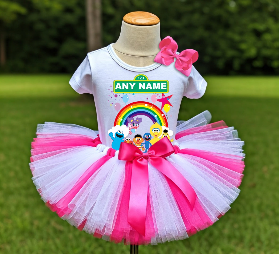 Sesame Street Chibi Cute Tutu Set Girls Personalized Custom Hot Pink White Pink Tutu Outfit Dress Theme Cake Smash Party