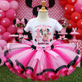 Baby Minnie Mouse Tutu Set Girls Personalized Custom Pink Black Hot Pink Ribbon Sewn Trim Tutu Outfit Dress Theme Cake Smash Birthday Party