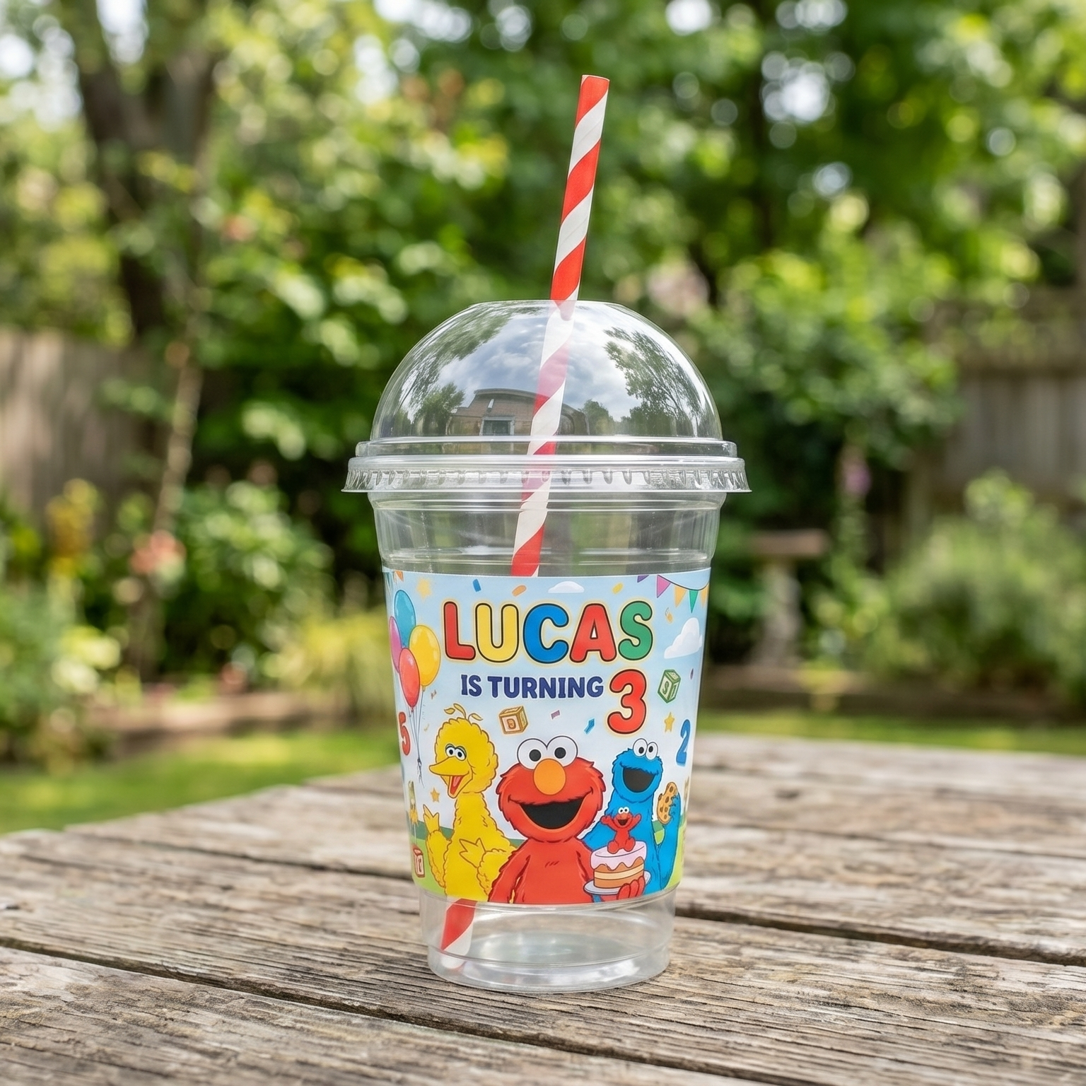 (Pack of 6) Sesame Street Custom Personalized Birthday Party 16 oz Cups with Dome Lids & Straws