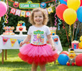 Sesame Street Tutu Set Girls Personalized Custom Hot Pink Red Tutu Outfit Dress Theme Cake Smash Birthday Party