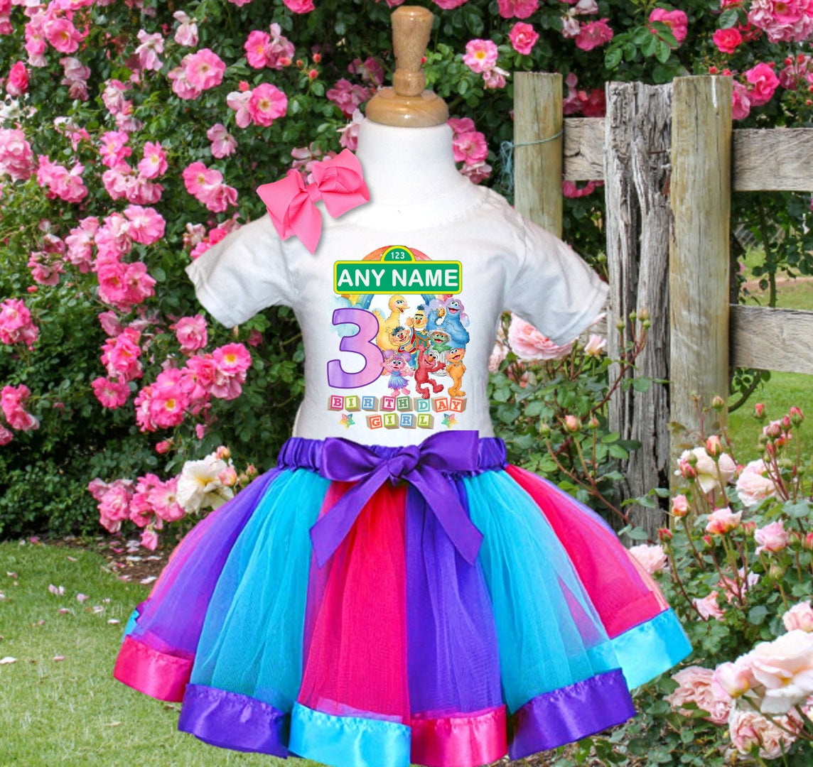 Sesame Street Tutu Set Girls Personalized Custom Hot Pink Blue Purple Ribbon Tutu Outfit Dress Theme Cake Smash Birthday Party