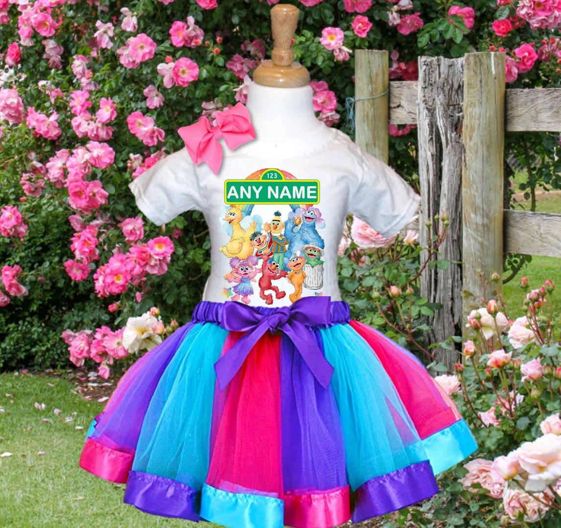 Sesame Street Tutu Set Girls Personalized Custom Hot Pink Blue Purple Ribbon Tutu Outfit Dress Theme Cake Smash Party