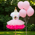 Strawberry Shortcake Black Baby Girl Tutu Set Girls Personalized Custom Pink Hot Pink Tutu Outfit Dress Theme Cake Smash Party